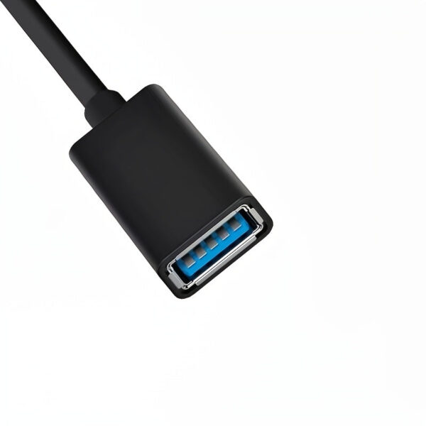 USB-C to USB 3.1 Adapter -- MotPoet